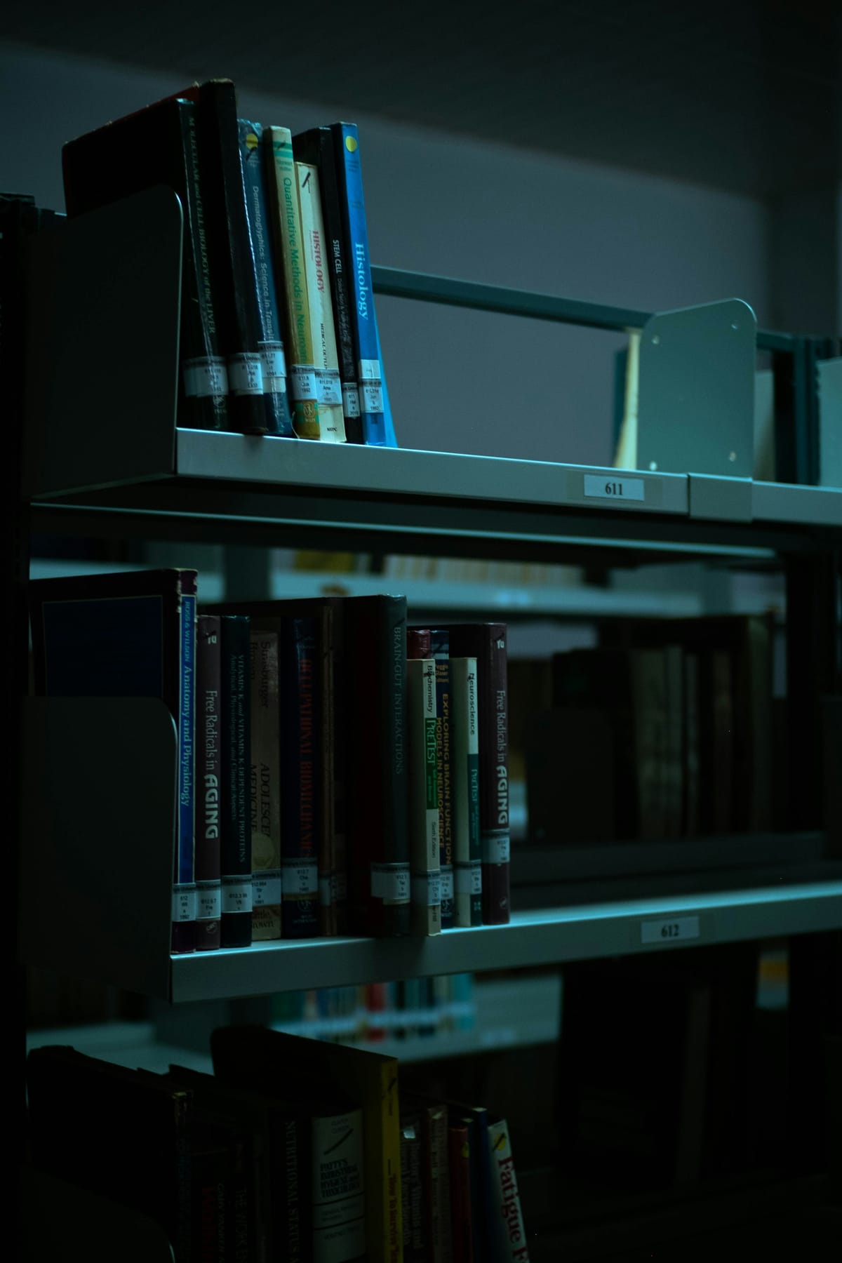 Dimly lit library shelves packed with rows of hardback books.